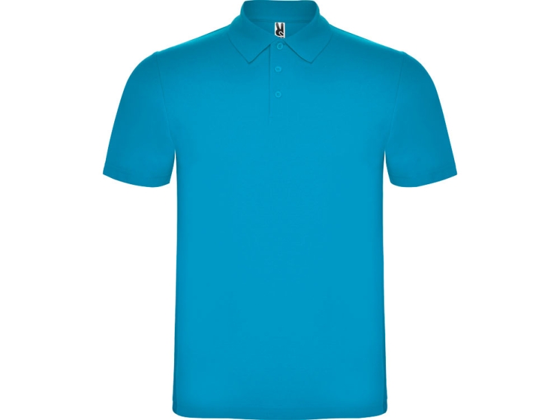 Рубашка поло Austral мужская (бирюзовый) 2XL (Изображение 1)
