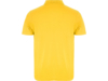 Рубашка поло Austral мужская (желтый) L (Изображение 2)