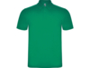 Рубашка поло Austral мужская (зеленый) 3XL (Изображение 1)