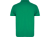 Рубашка поло Austral мужская (зеленый) 3XL (Изображение 2)