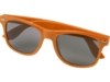 Солнцезащитные очки Sun Ray из переработанного PET-пластика (оранжевый)  (Изображение 3)