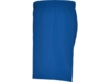 Спортивные шорты Calcio мужские (синий) 2XL (Изображение 3)