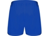 Спортивные шорты Calcio мужские (синий) XL (Изображение 2)
