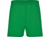 Спортивные шорты Calcio мужские (зеленый) 2XL (Изображение 1)
