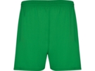 Спортивные шорты Calcio мужские (зеленый) XL