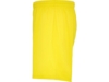 Спортивные шорты Calcio мужские (желтый) 2XL (Изображение 3)