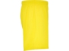 Спортивные шорты Calcio мужские (желтый) 2XL (Изображение 4)