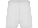 Спортивные шорты Calcio мужские (белый) 2XL