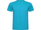 Спортивная футболка Montecarlo мужская (бирюзовый) 3XL