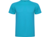 Спортивная футболка Montecarlo мужская (бирюзовый) 2XL (Изображение 1)
