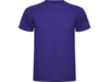 Спортивная футболка Montecarlo мужская (лиловый) L (Изображение 1)