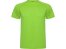 Спортивная футболка Montecarlo мужская (лайм) 2XL