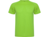 Спортивная футболка Montecarlo мужская (лайм) XL (Изображение 1)