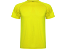 Спортивная футболка Montecarlo мужская (неоновый желтый) 2XL