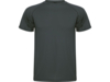 Спортивная футболка Montecarlo мужская (графит) XL (Изображение 1)
