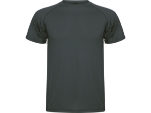 Спортивная футболка Montecarlo мужская (графит) XL