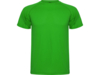 Спортивная футболка Montecarlo мужская (зеленый) 2XL (Изображение 1)
