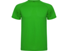 Спортивная футболка Montecarlo мужская (зеленый) 2XL
