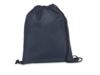 Сумка в формате рюкзака CARNABY (темно-синий)  (Изображение 1)