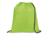 Сумка в формате рюкзака CARNABY (светло-зеленый)  (Изображение 1)