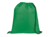 Сумка в формате рюкзака CARNABY (зеленый)  (Изображение 1)