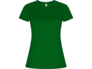 Спортивная футболка Imola женская (зеленый) 2XL