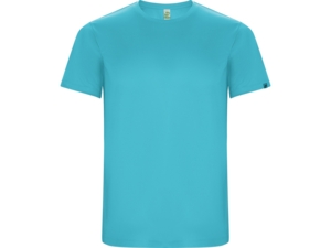 Спортивная футболка Imola мужская (бирюзовый) 3XL