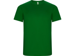 Спортивная футболка Imola мужская (зеленый) 3XL