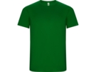 Спортивная футболка Imola мужская (зеленый) 2XL