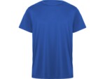 Спортивная футболка Daytona мужская (синий) 3XL