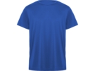 Спортивная футболка Daytona мужская (синий) 2XL