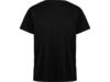 Спортивная футболка Daytona мужская (черный) 3XL (Изображение 1)