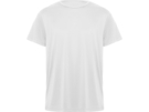 Спортивная футболка Daytona мужская (белый) XL