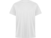 Спортивная футболка Daytona мужская (белый) L (Изображение 1)