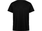Спортивная футболка Daytona мужская (черный) L
