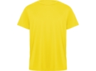 Спортивная футболка Daytona мужская (желтый) S