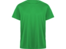 Спортивная футболка Daytona мужская (зеленый) 3XL