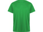 Спортивная футболка Daytona мужская (зеленый) 3XL