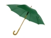 Зонт-трость Радуга (зеленый)  (Изображение 1)