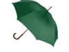 Зонт-трость Радуга (зеленый)  (Изображение 2)