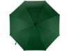 Зонт-трость Радуга (зеленый)  (Изображение 8)