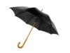 Зонт-трость Радуга (черный)  (Изображение 1)