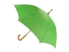 Зонт-трость Радуга (зеленое яблоко)  (Изображение 2)