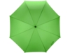 Зонт-трость Радуга (зеленое яблоко)  (Изображение 8)