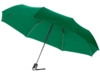 Зонт складной Alex (зеленый)  (Изображение 1)