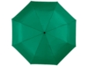 Зонт складной Alex (зеленый)  (Изображение 2)