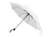 Зонт складной Wali (белый)  (Изображение 1)