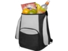 Рюкзак-холодильник Brisbane (черный/серый)  (Изображение 1)