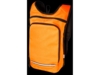 Рюкзак для прогулок Trails (оранжевый)  (Изображение 5)