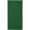 Полотенце Odelle, большое, зеленое (Изображение 2)